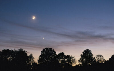 Love Letter to Venus